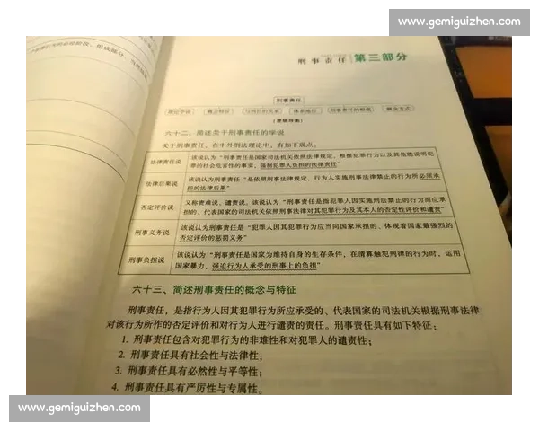 企业违规行为处理与法律责任追究全解析